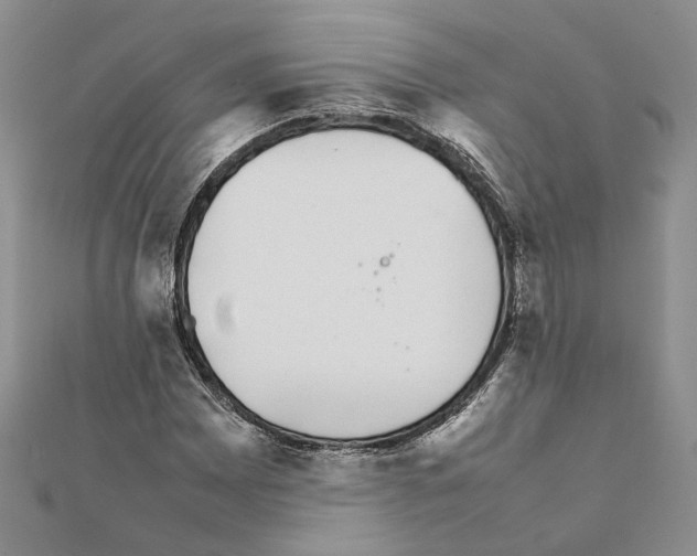 X0000111371065200908211313