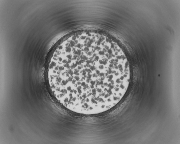 X0000111371066200908211313
