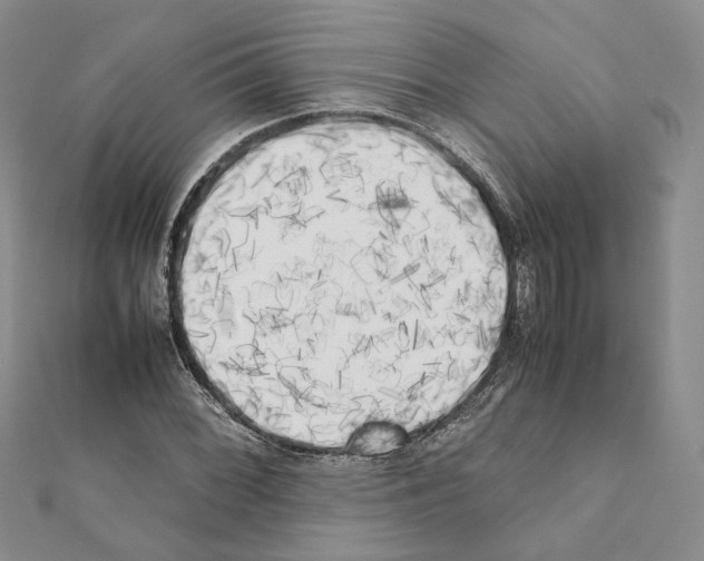 X0000111371068200908211313