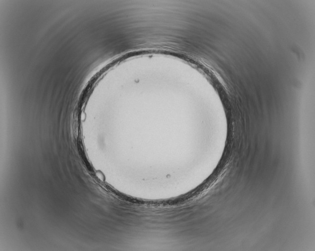 X0000111371069200908211313