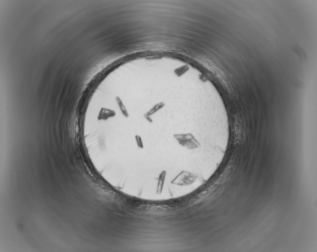 X0000111371070200908211313