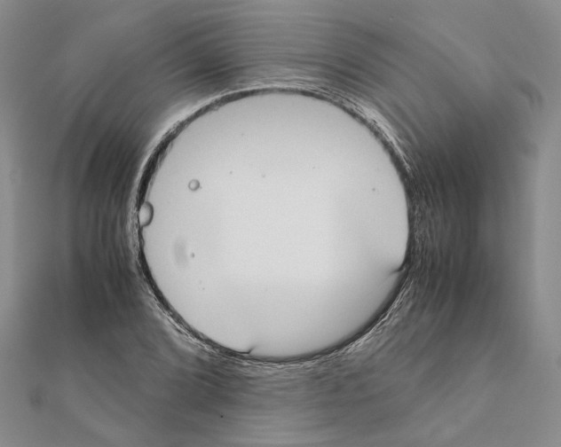 X0000111371072200908211313