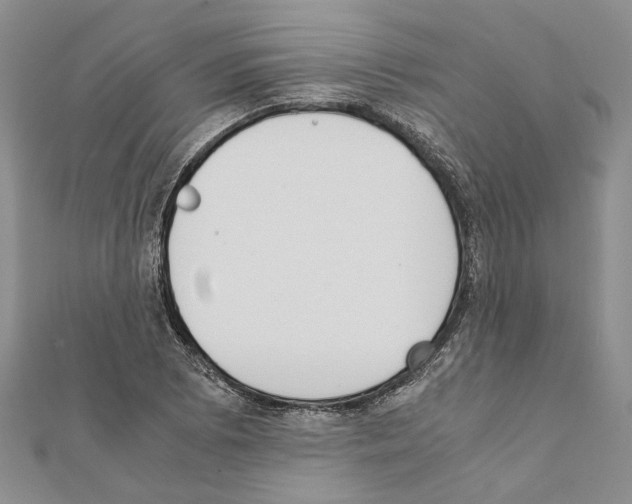 X0000111371073200908211313