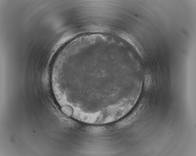 X0000111371074200908211313