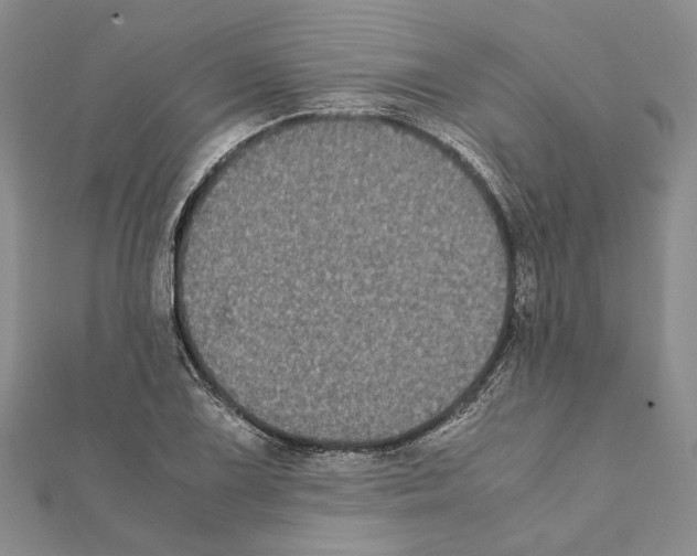 X0000111371075200908211313