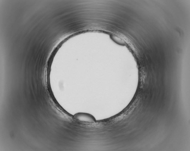X0000111371076200908211313