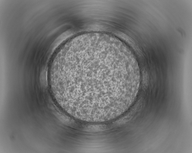 X0000111371078200908211313