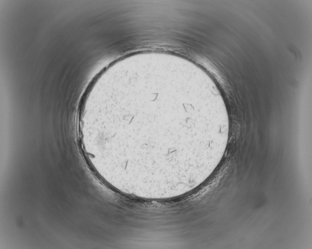 X0000111371079200908211313
