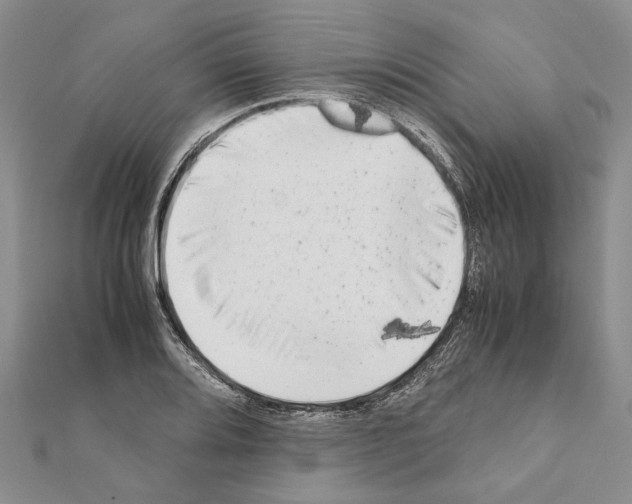 X0000111371080200908211313
