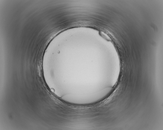 X0000111371081200908211313