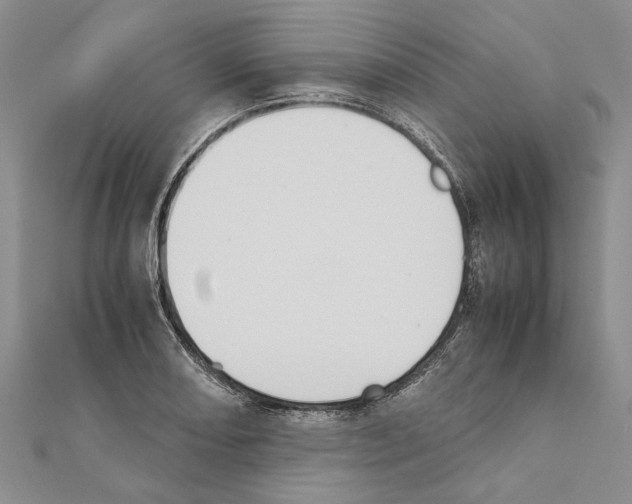 X0000111371082200908211313