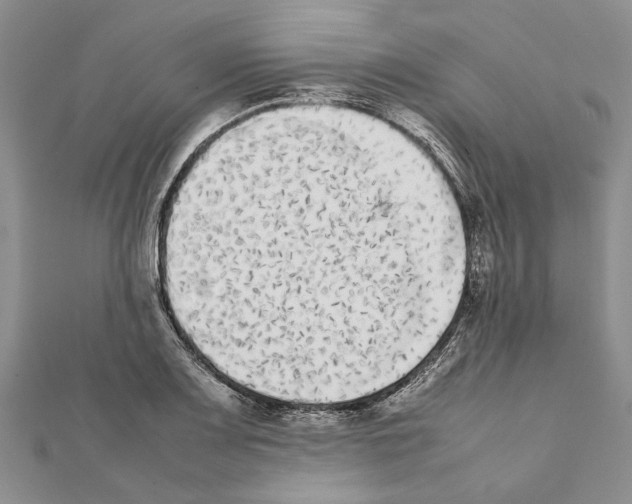 X0000111371083200908211313
