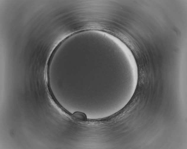 X0000111371084200908211313