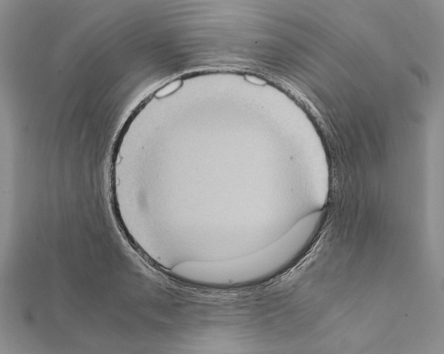 X0000111371085200908211313