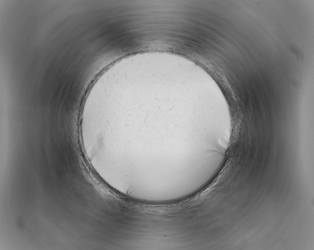 X0000111371086200908211313