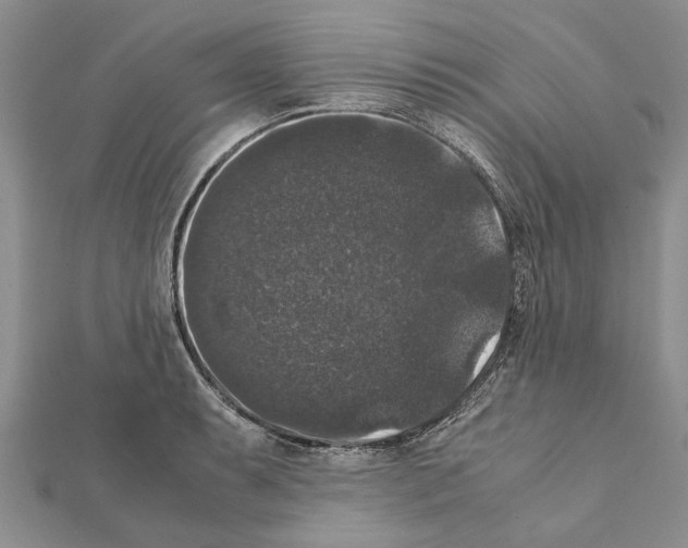 X0000111371087200908211313