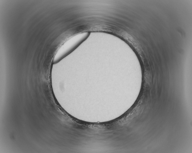 X0000111371089200908211313