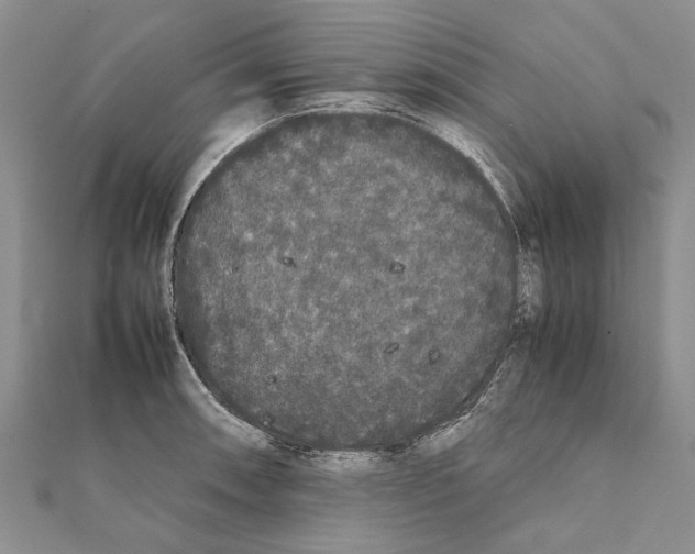 X0000111371090200908211313