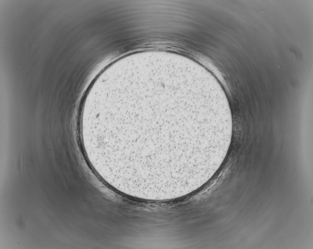 X0000111371091200908211313