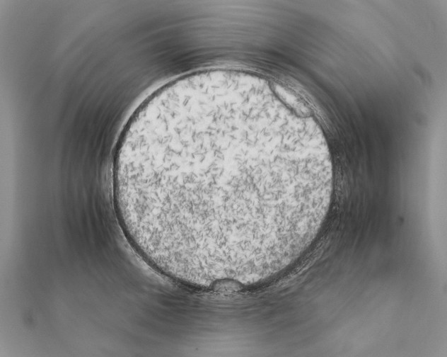 X0000111371092200908211313