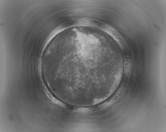 X0000111371094200908211313