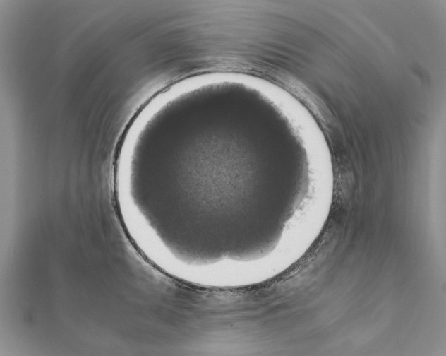 X0000111371095200908211313