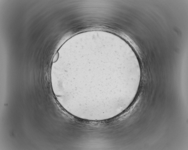 X0000111371097200908211313