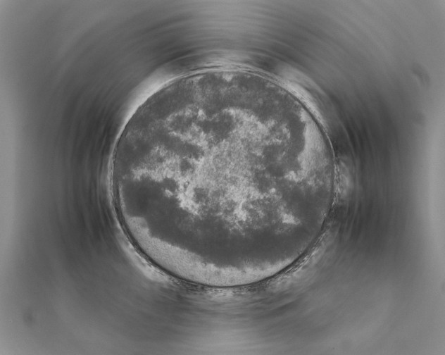 X0000111371098200908211313