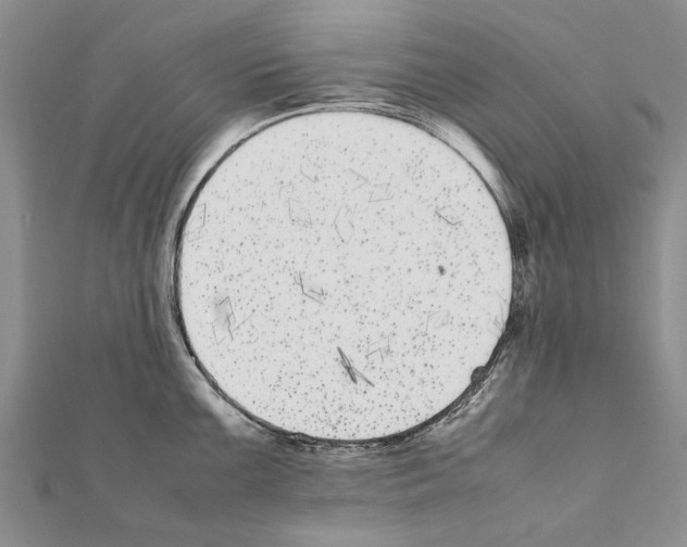 X0000111371099200908211313