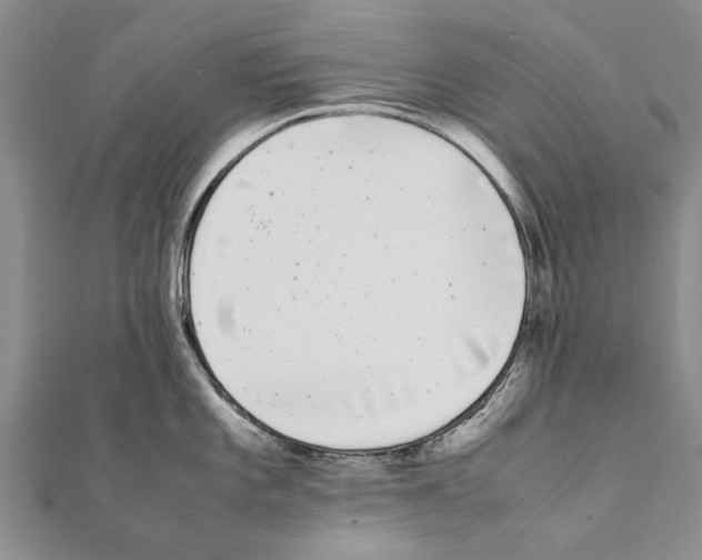 X0000111371101200908211313
