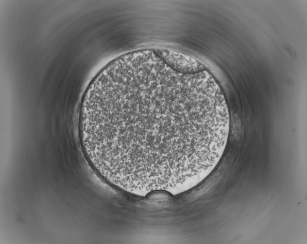 X0000111371102200908211313