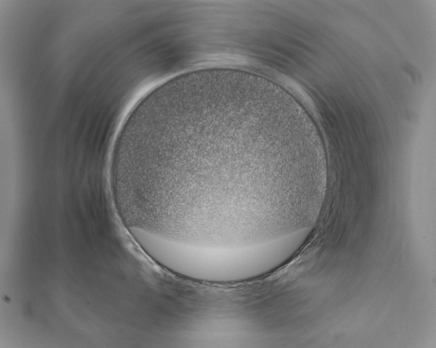 X0000111371104200908211313