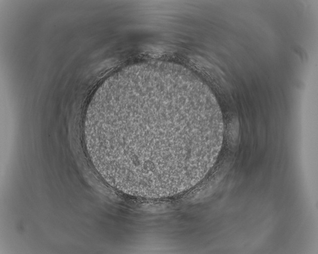 X0000111371105200908211312