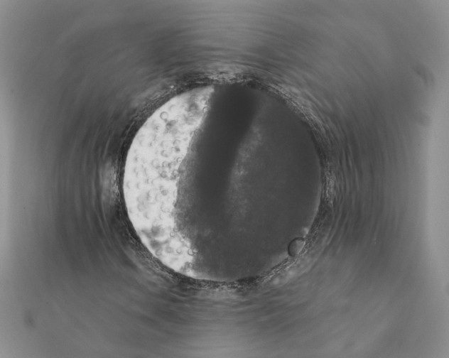 X0000111371106200908211312