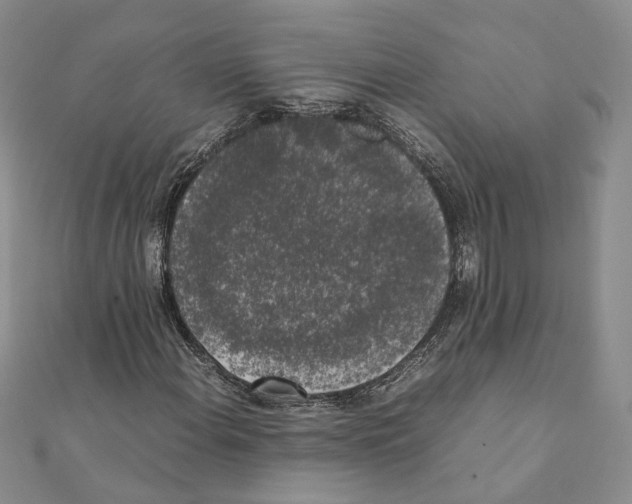 X0000111371108200908211312