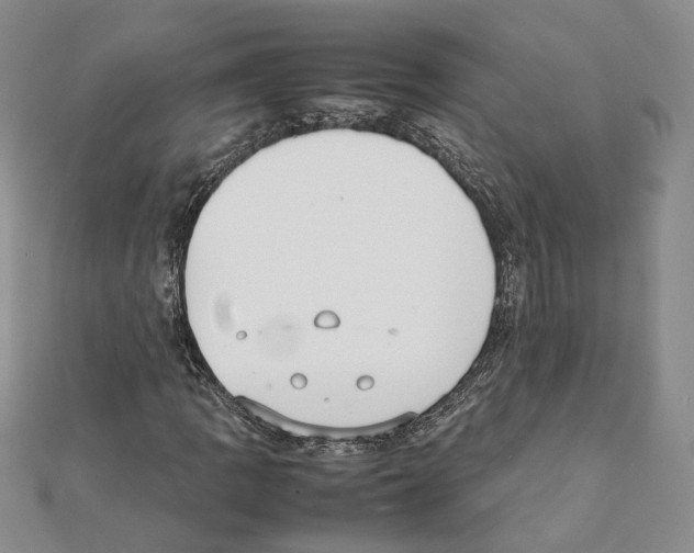 X0000111371109200908211312