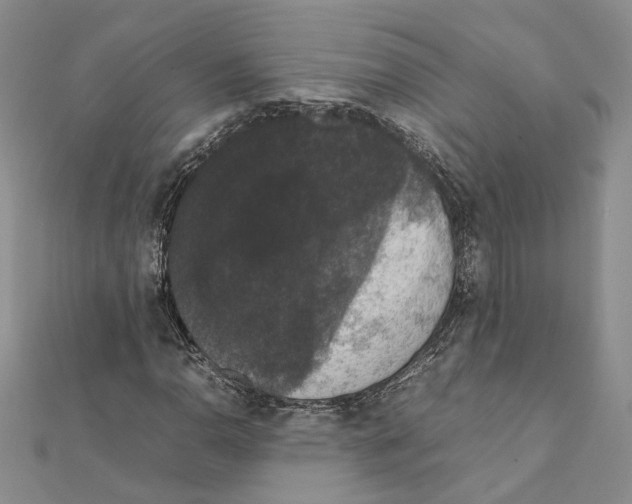 X0000111371110200908211312