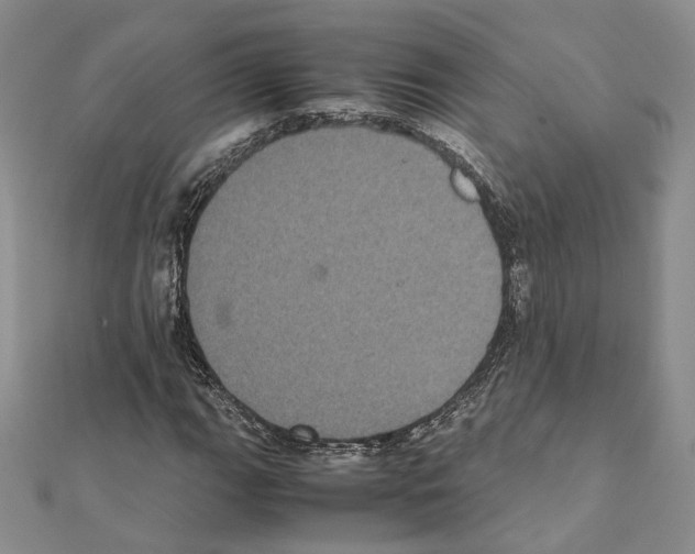 X0000111371111200908211312