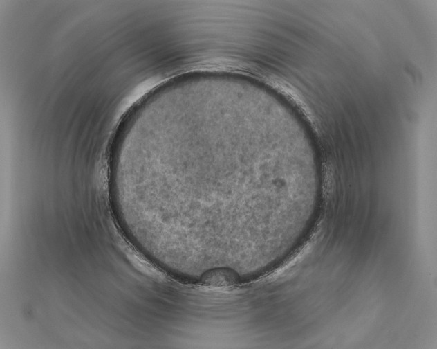 X0000111371114200908211312