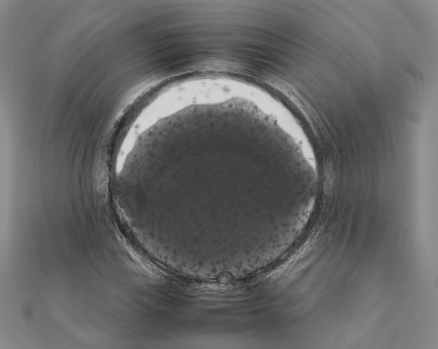 X0000111371115200908211312