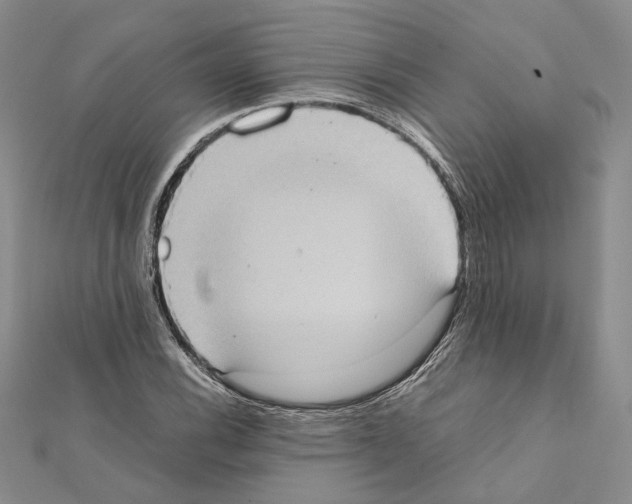 X0000111371116200908211312