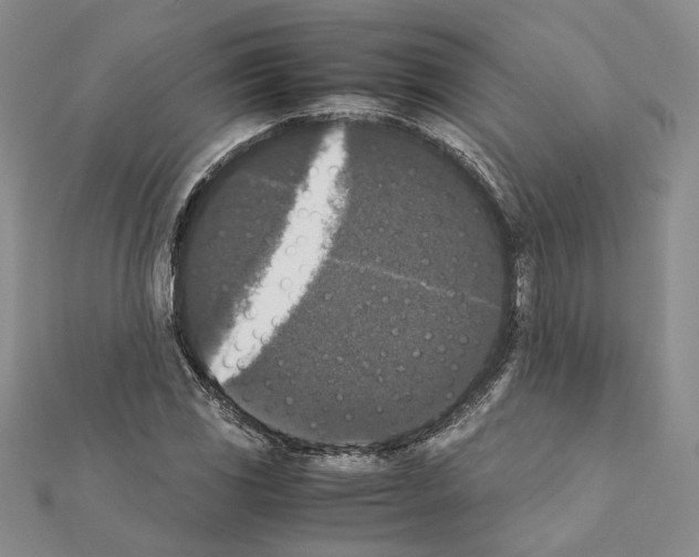 X0000111371117200908211312