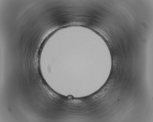 X0000111371119200908211312