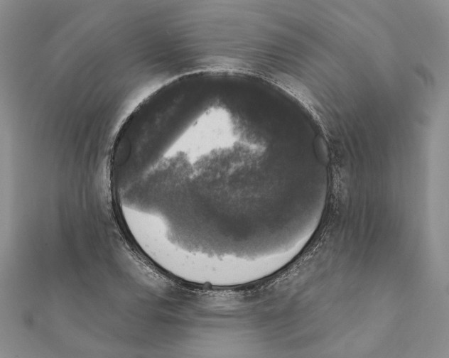 X0000111371120200908211312