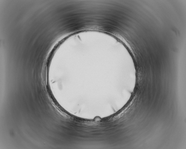 X0000111371123200908211312