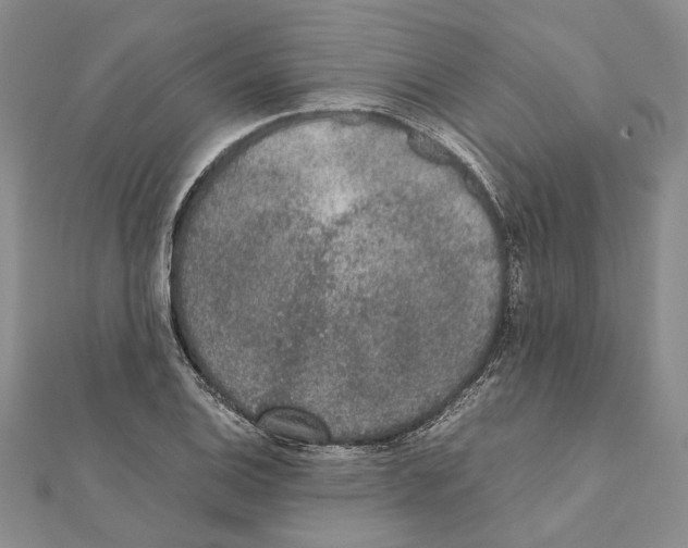 X0000111371124200908211312