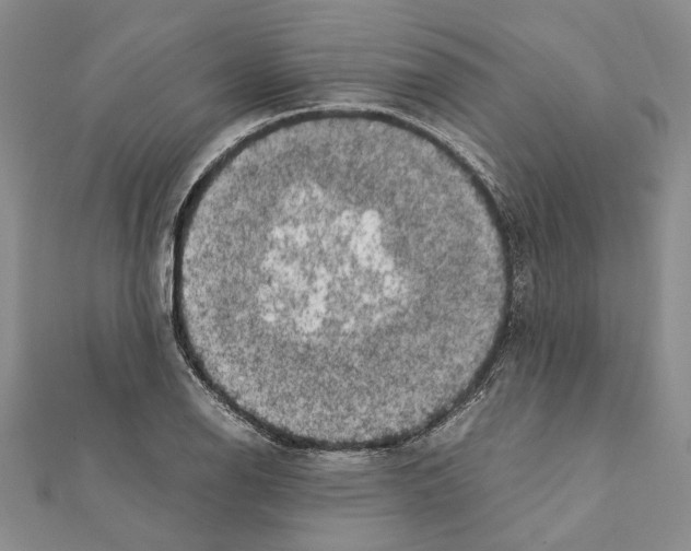 X0000111371126200908211312