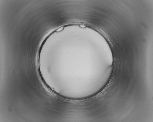 X0000111371128200908211312