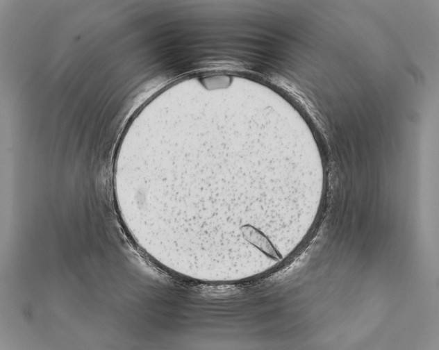 X0000111371129200908211312