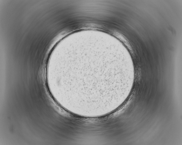 X0000111371130200908211312